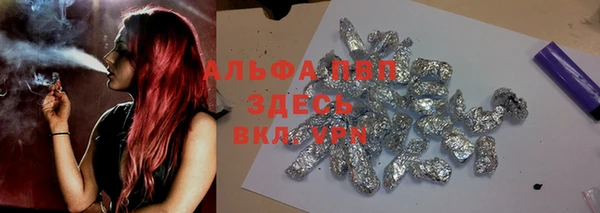 гидра Алексин